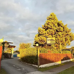 Camellia Court Family Motel